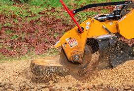 Best Pest Control for Lawns  in Mountain Lake Park, MD